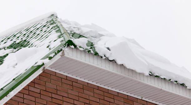 Signs Your Gutters Need Cleaning